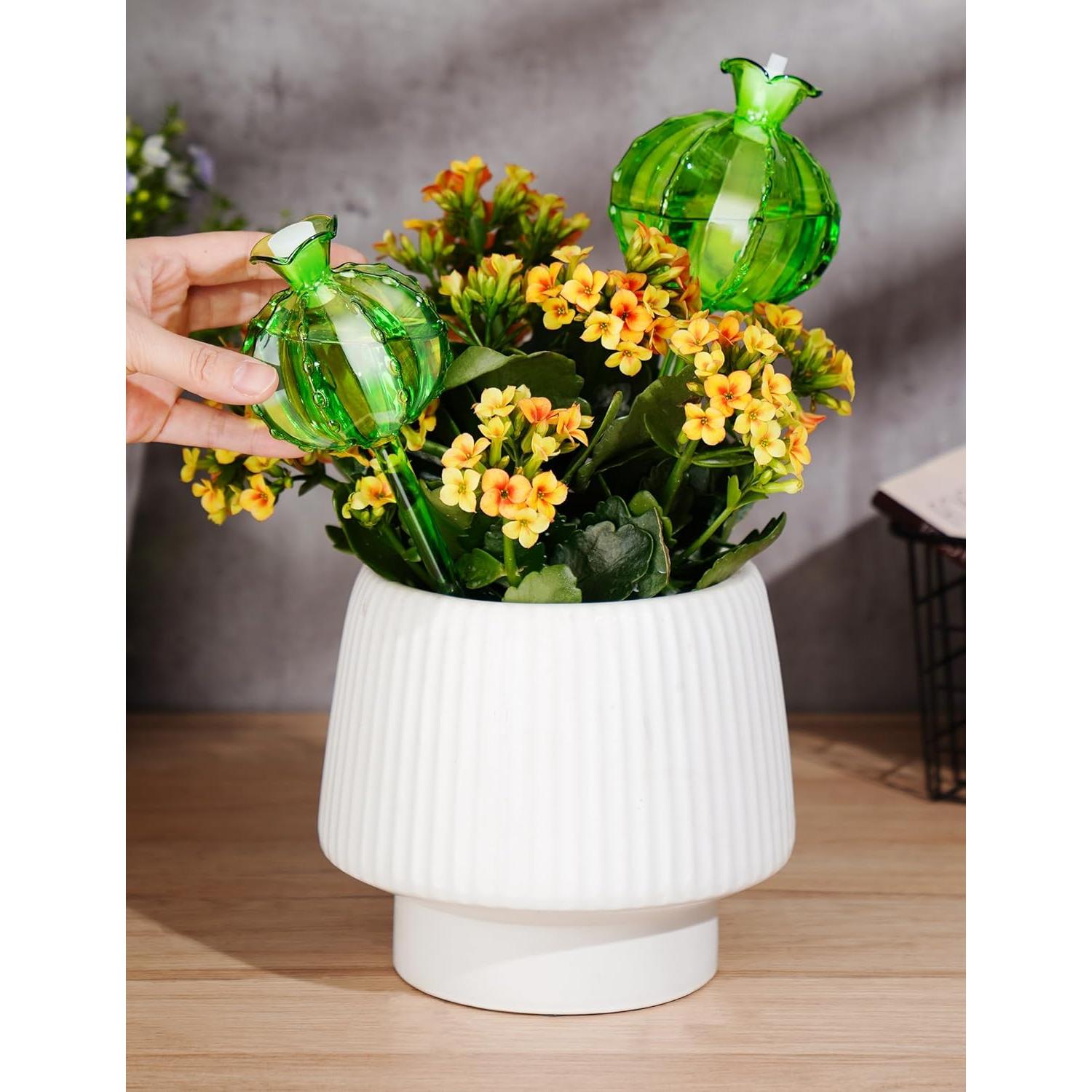 Esferas de Riego Automático NiHome 4-Pack Vidrio Verde