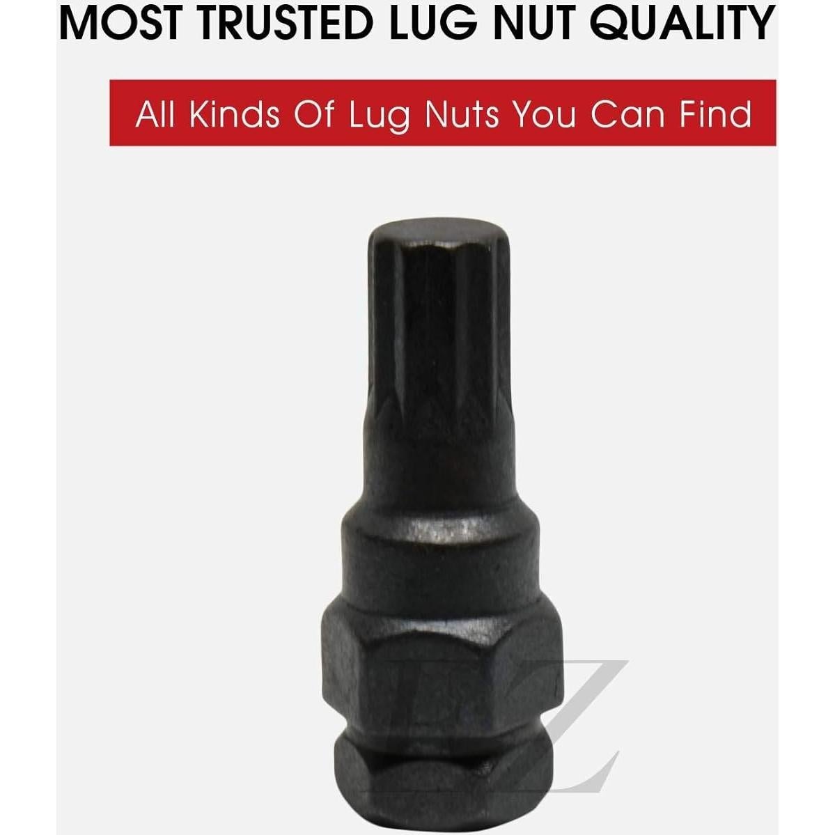 Llave de tuerca de perno estrella 10 puntos EZAccessory 3/4" y 13/16"