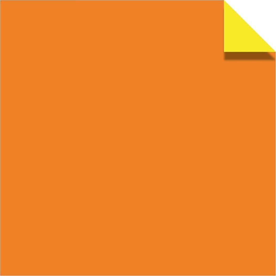 Origami Paper 200 sheets Rainbow Colors 6" (15 cm): Tuttle Origami Paper: Double Sided Origami Sheets Printed with 12 Different Color Combinations (Instructions for 6 Projects Included)