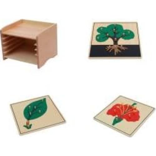 Gabinete de Rompecabezas de Botánica Adena Montessori 3 Piezas