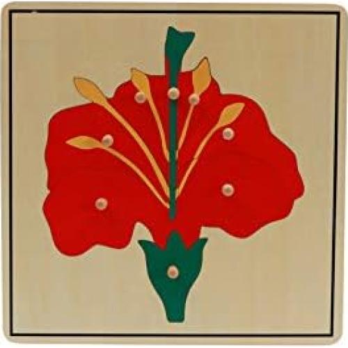 Gabinete de Rompecabezas de Botánica Adena Montessori 3 Piezas