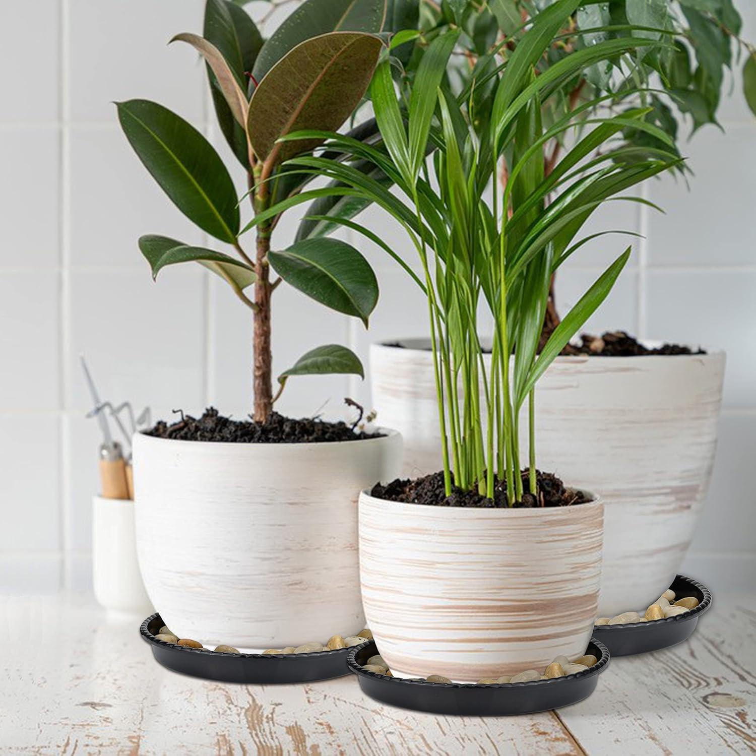 SupKing 9 Packs Black Plant Saucers (6 inch /8 inch /10 inch) inch Plastic Plant Trays Thicker Sturdier Plant Pot Saucers Stronger Flower Pot Tray for Indoor Outdoor- Black