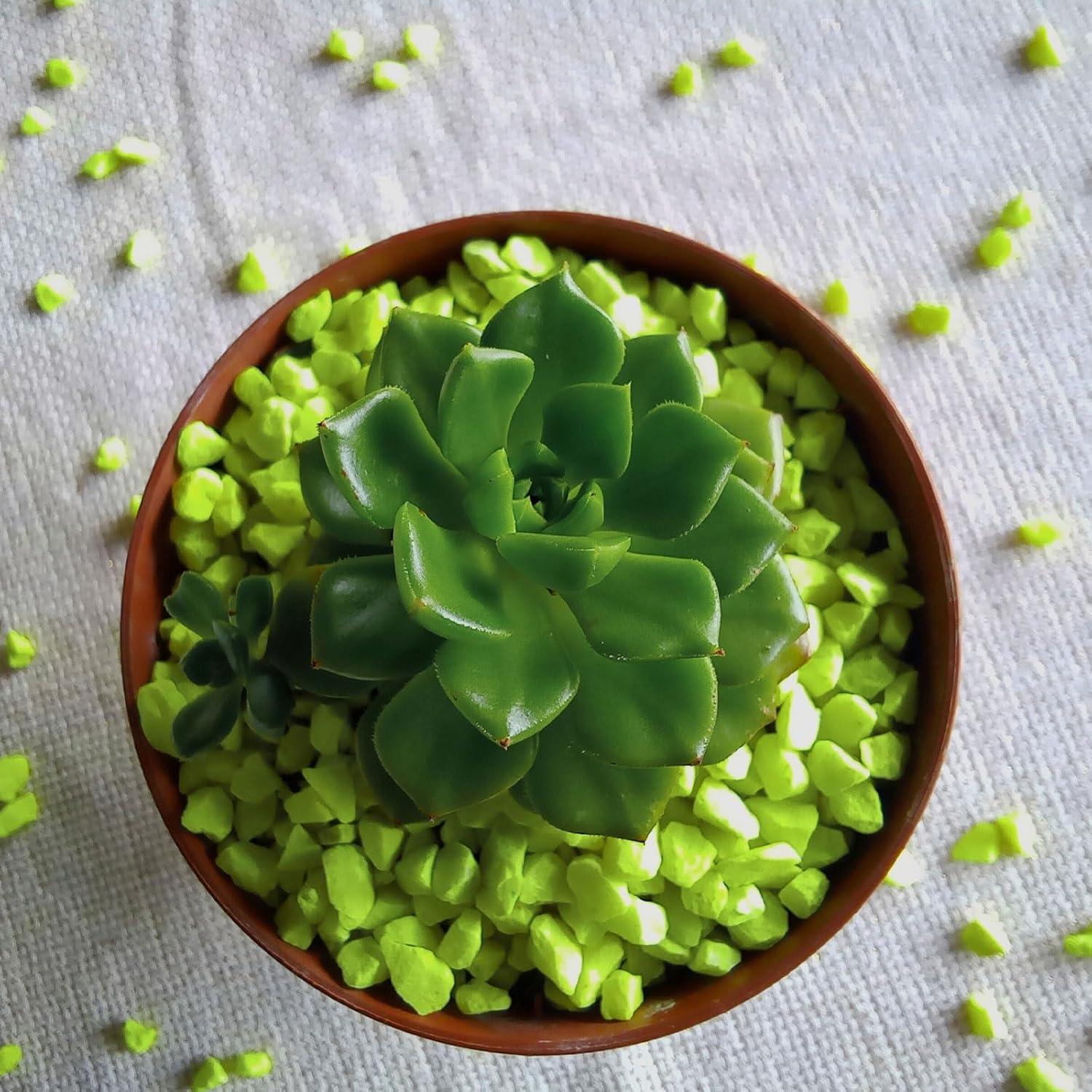 Rocas Brillantes Verdes YOKIVE 100 Pcs 10-15 mm Decorativas