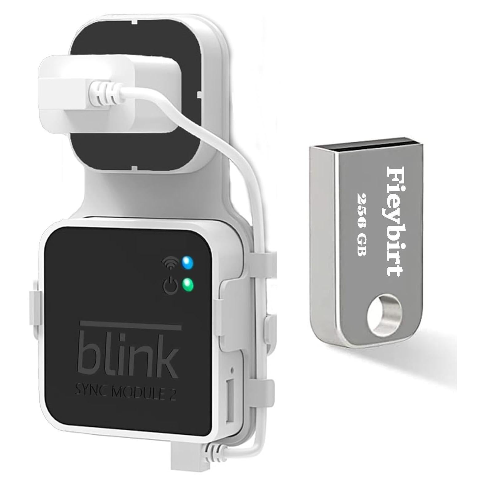 Unidad Flash USB 256GB Fieybirt + Soporte Blink 2