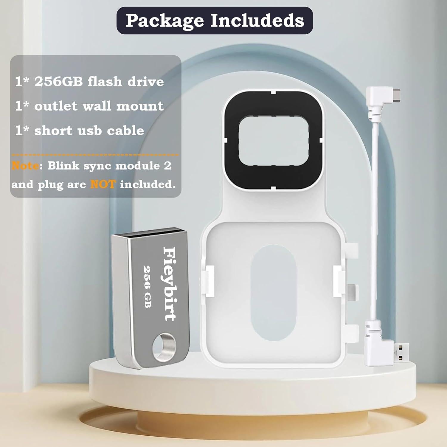 Unidad Flash USB 256GB Fieybirt + Soporte Blink 2