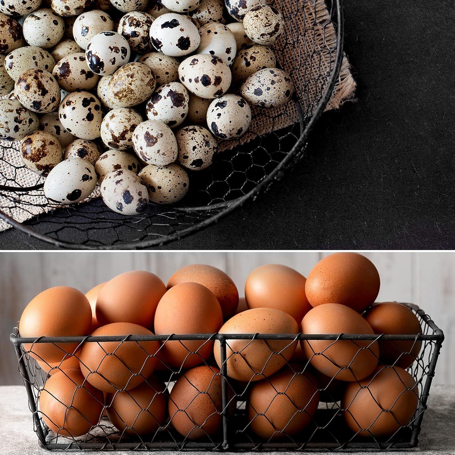 Malla de Alambre Galvanizado SATINIOR 34.8x203.2cm Negra