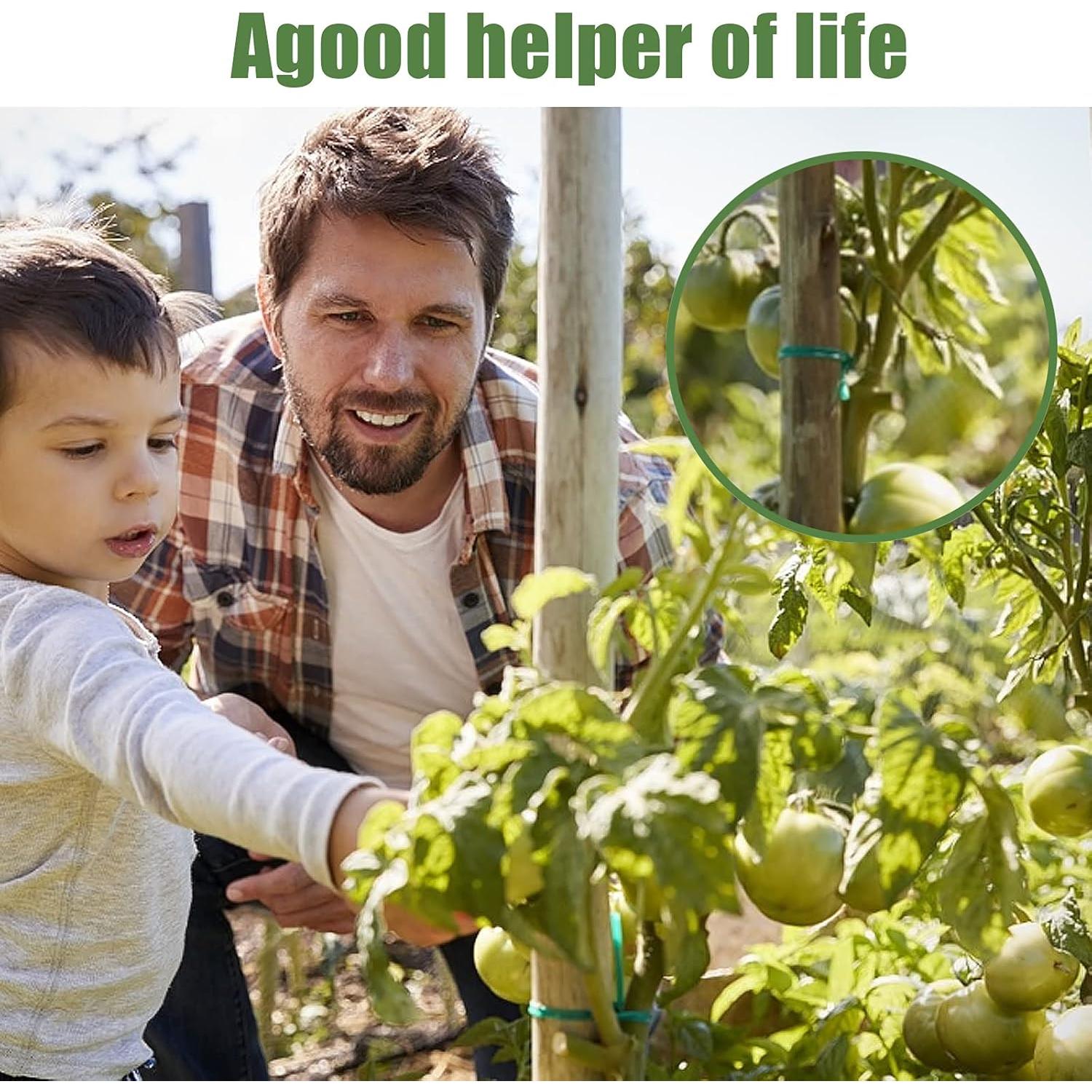 Ataduras para Plantas Oligei 150m Verde PVC Resistente