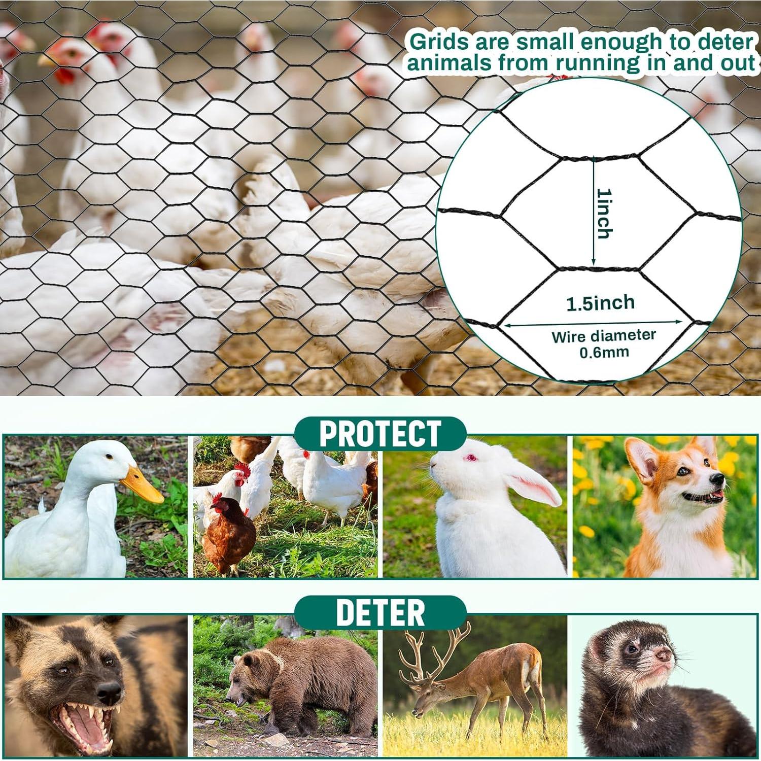 Malla de Alambre de Gallinero GlikCeil 121.92 x 60.96 m Negra