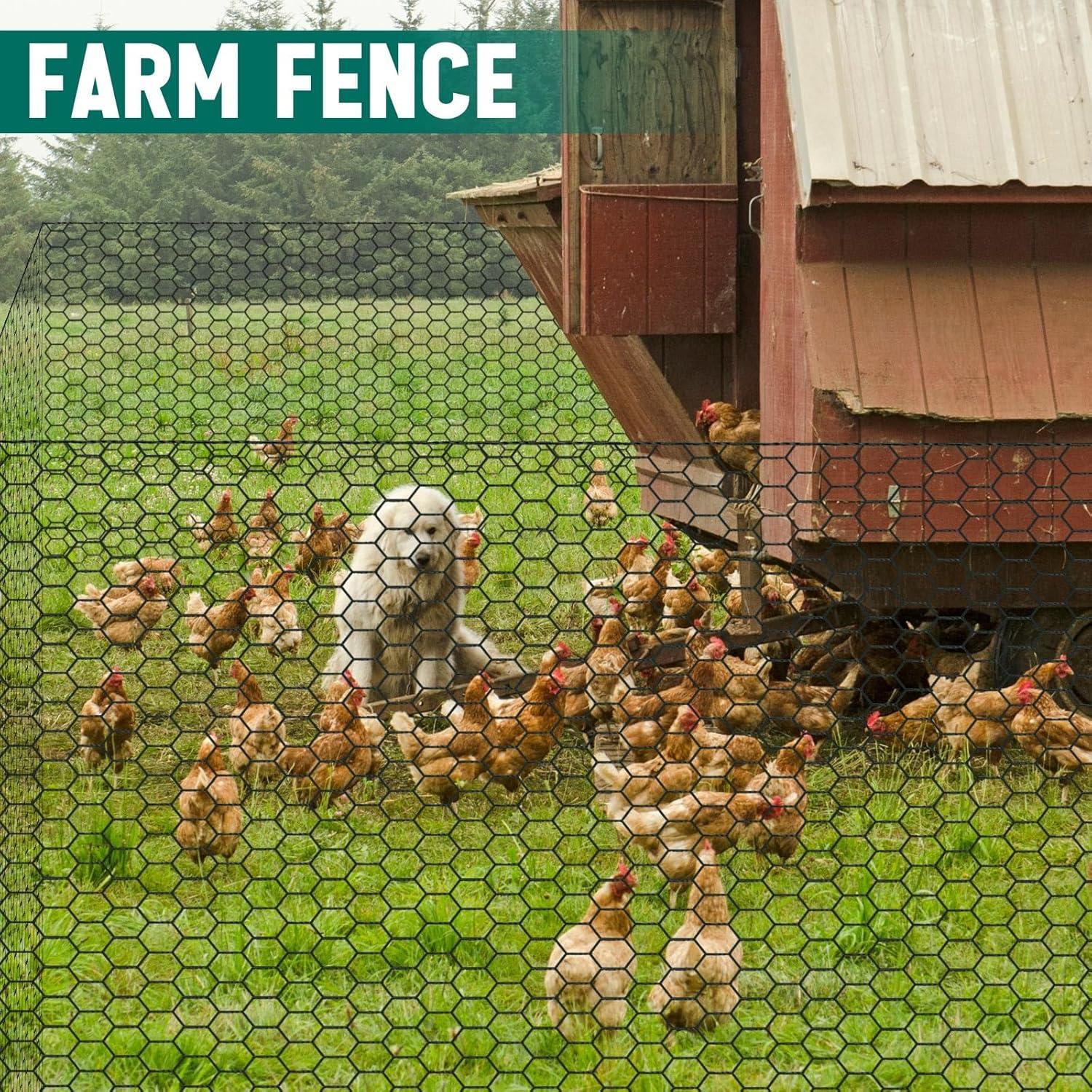 Malla de Alambre de Gallinero GlikCeil 121.92 x 60.96 m Negra