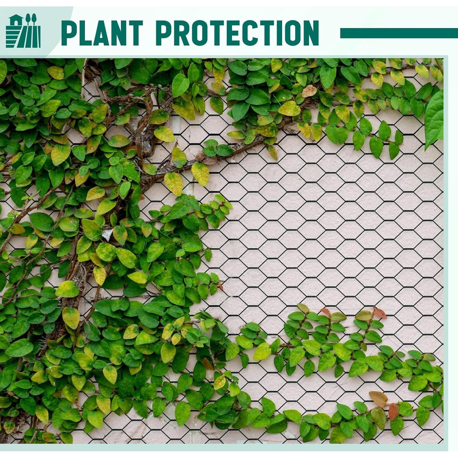 Malla de Alambre de Gallinero GlikCeil 121.92 x 60.96 m Negra