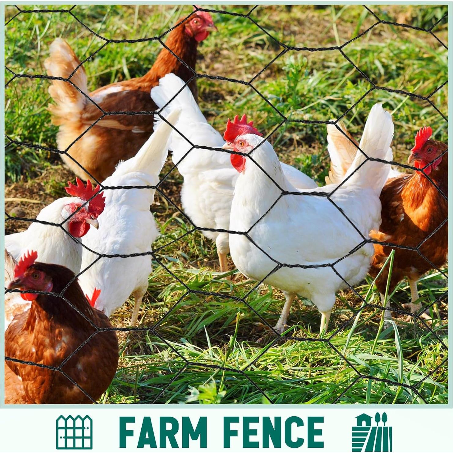 Malla de Alambre de Gallinero GlikCeil 121.92 x 60.96 m Negra