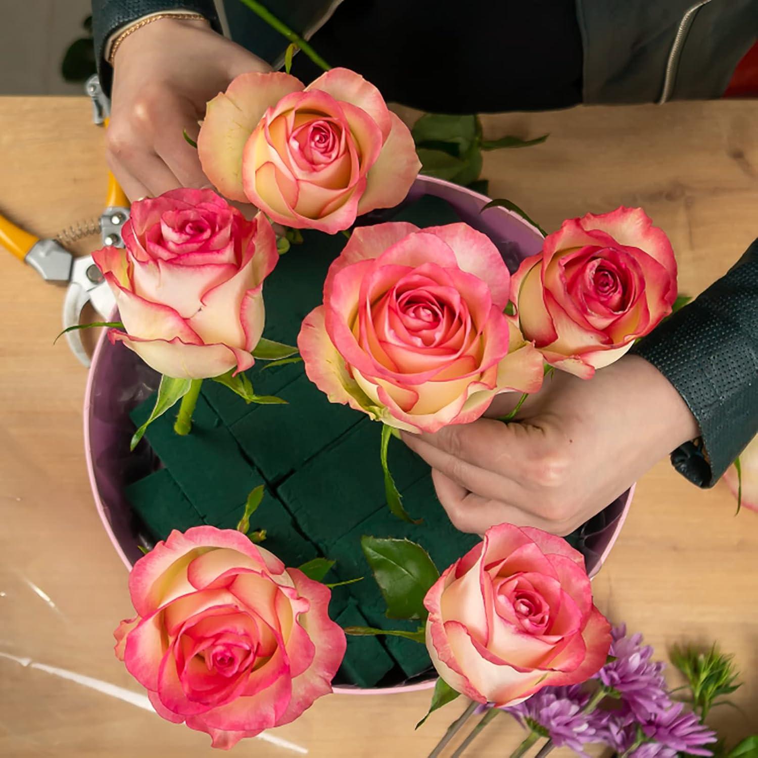 Bloques de Espuma Floral Verde 20x10x7.5 cm - 6 Pcs para Arreglos