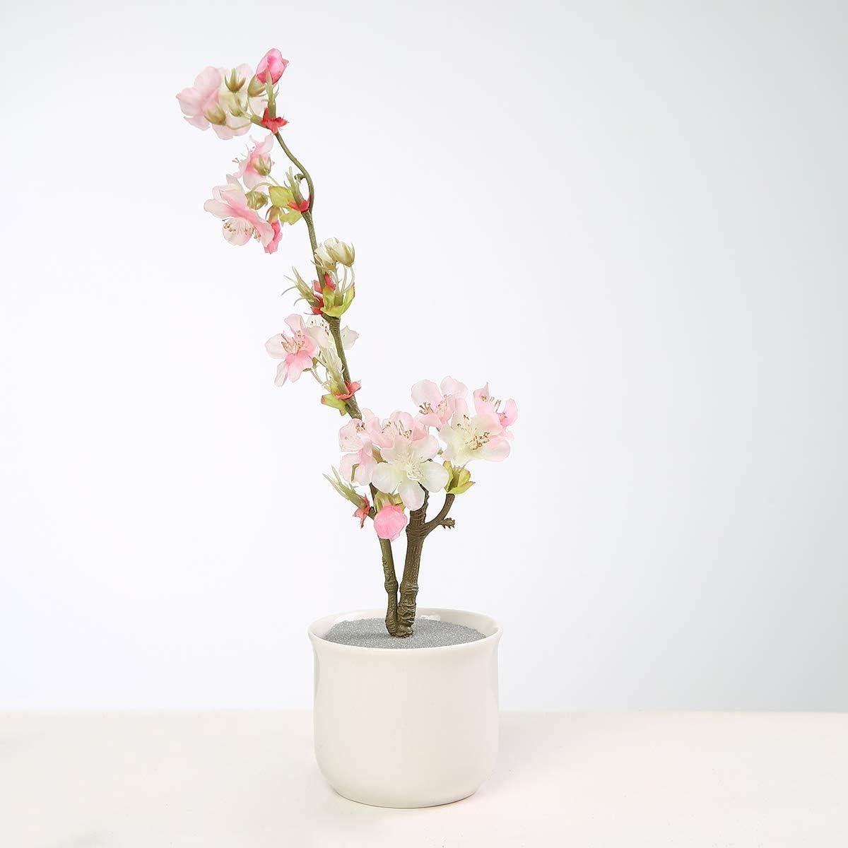 Bloques de Espuma Floral Secos Crafare 6 Piezas 22.9x11x6.9 cm