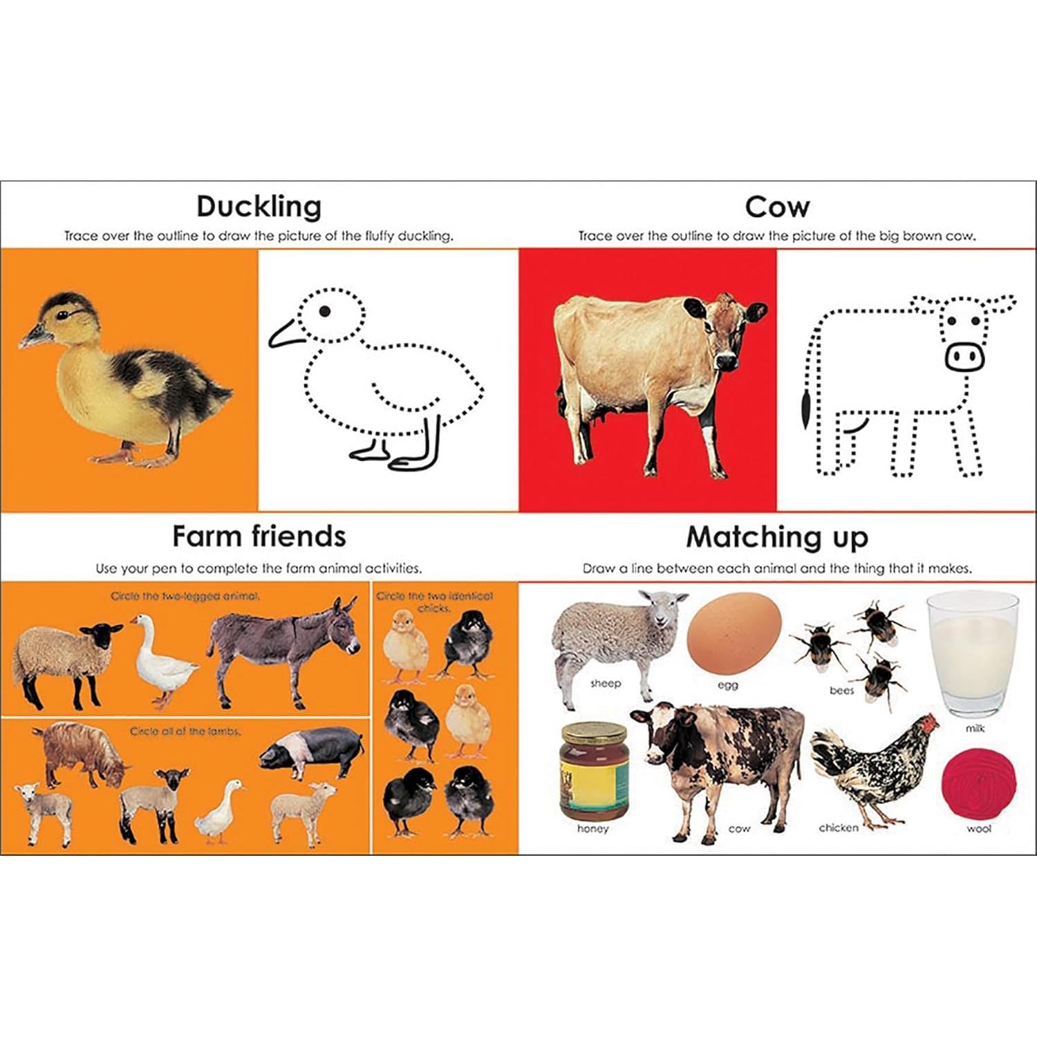 Wipe Clean: Early Learning Activity Book: With practical exercises and activities to do again and again (Wipe Clean Activity Books)