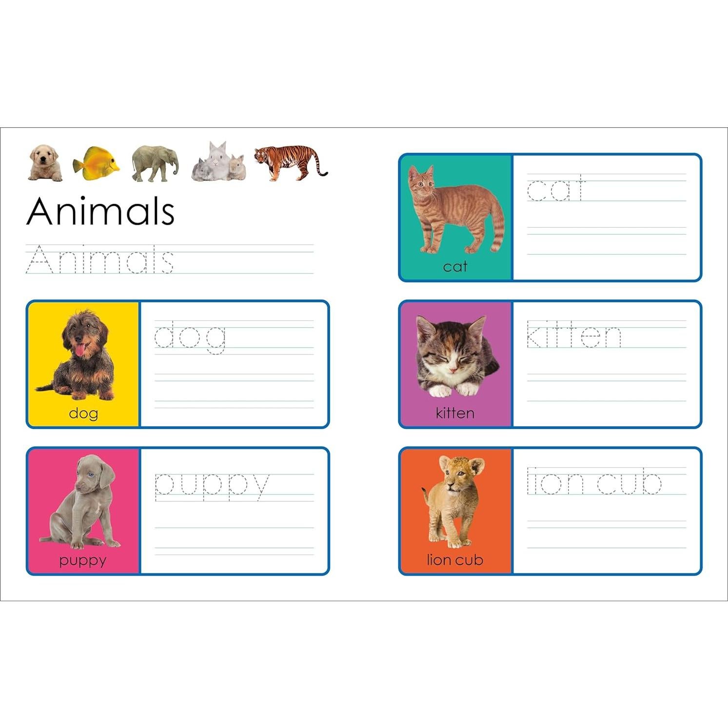 Wipe Clean: First 100 Words (Enclosed Spiral Binding): Includes Wipe Clean Pen (Wipe Clean Learning Books)