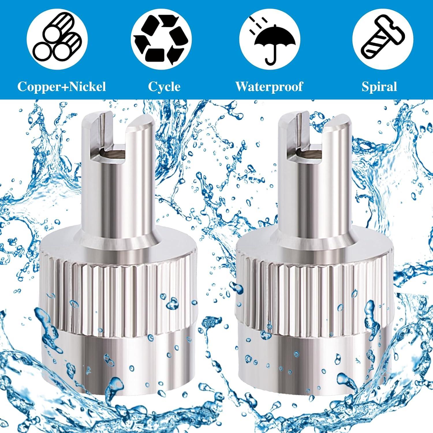 10 Tapones de Válvula de Neumático MEAJOO Plateados Universales