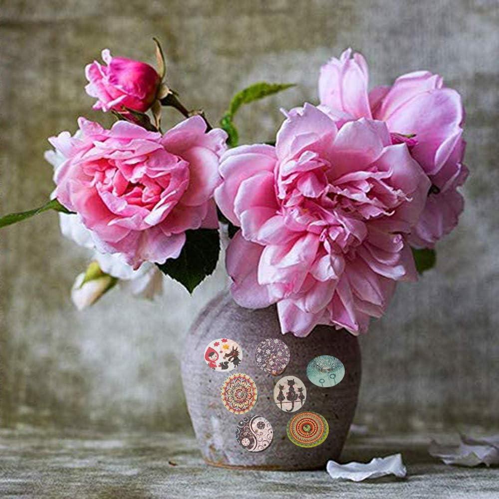 200 Botones de Madera Redondos 20mm Qovydx Mezcla Vintage