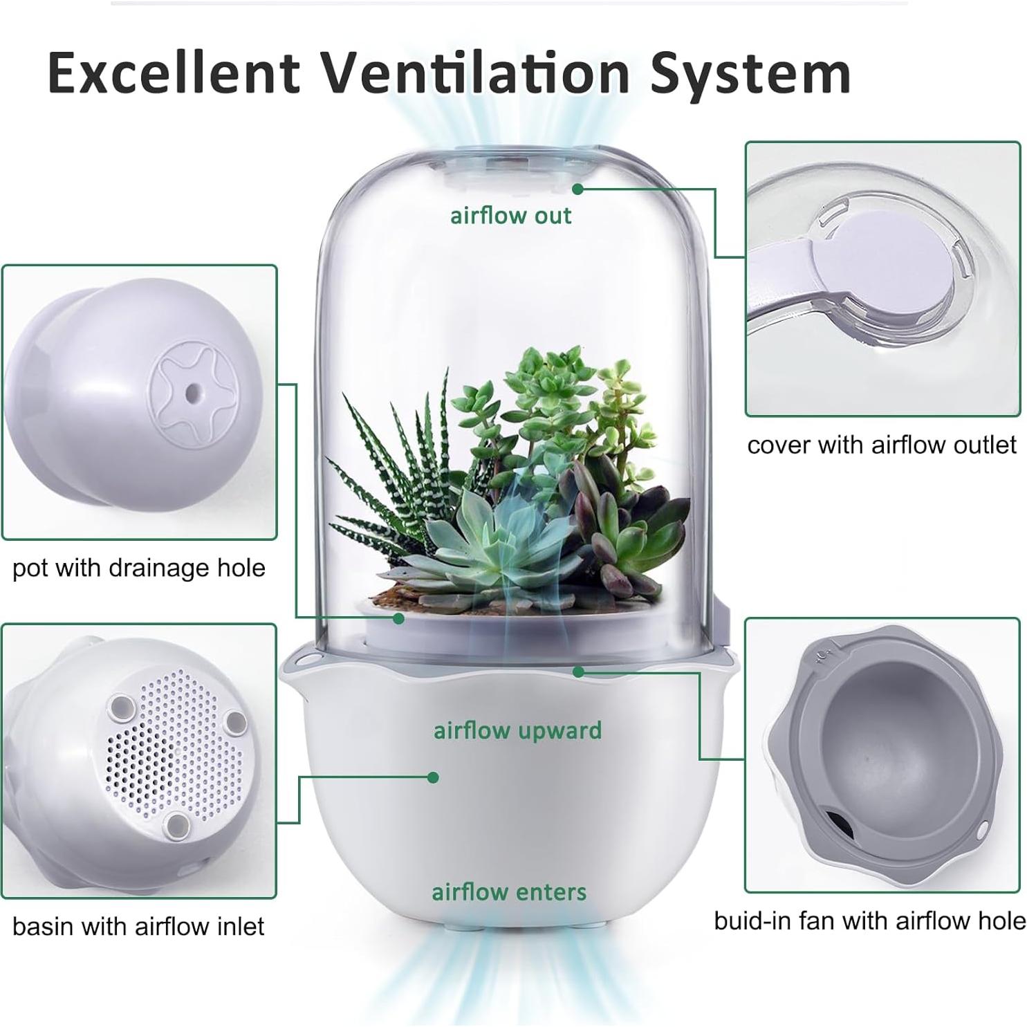 Maceta de Terrario Inteligente para Suculentas y Plantas Carnívoras - Shenzhen Dragon-Lily