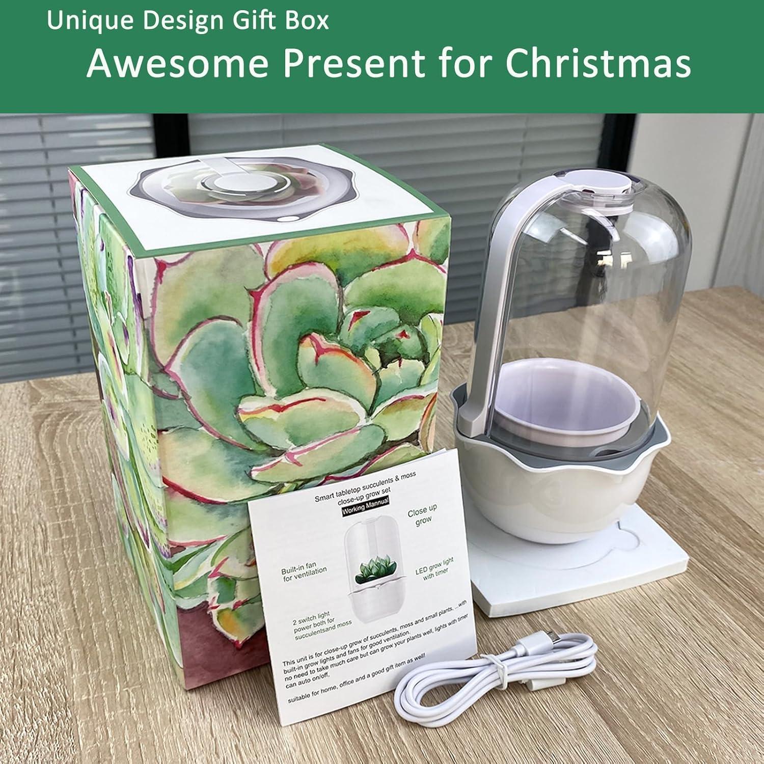 Maceta de Terrario Inteligente para Suculentas y Plantas Carnívoras - Shenzhen Dragon-Lily