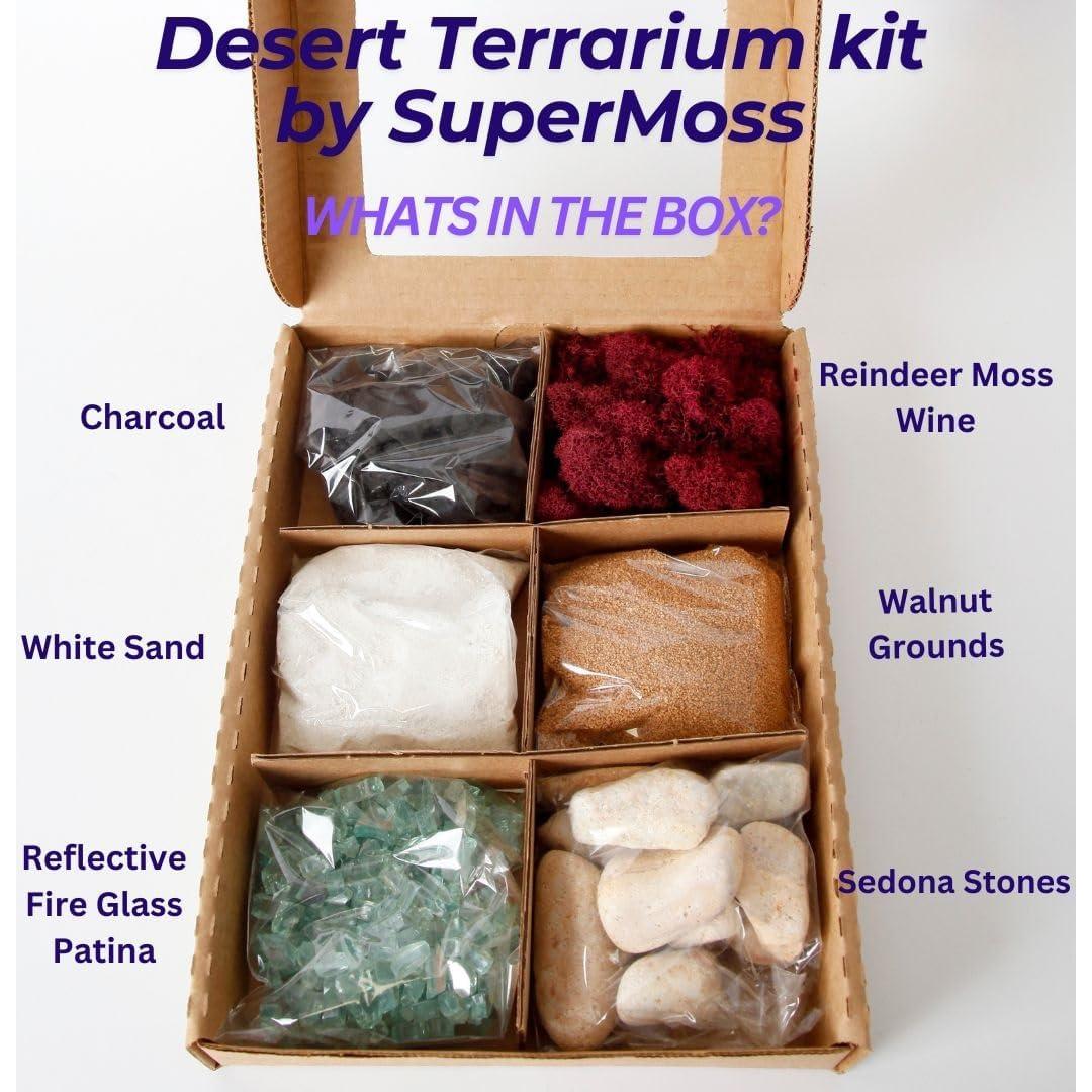 Kit de Terrario del Desierto DIY SuperMoss - 113.4 g