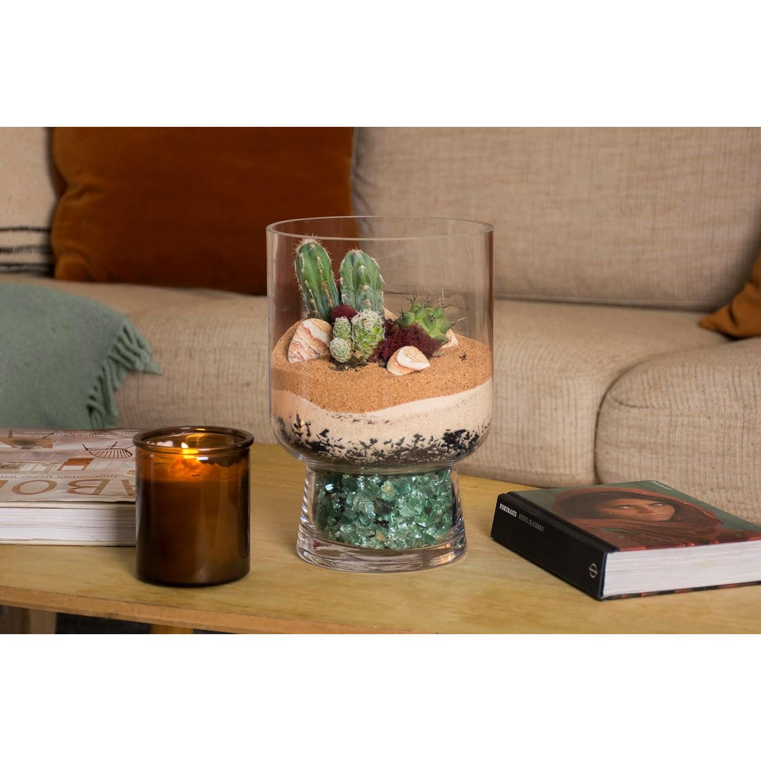 Kit de Terrario del Desierto DIY SuperMoss - 113.4 g