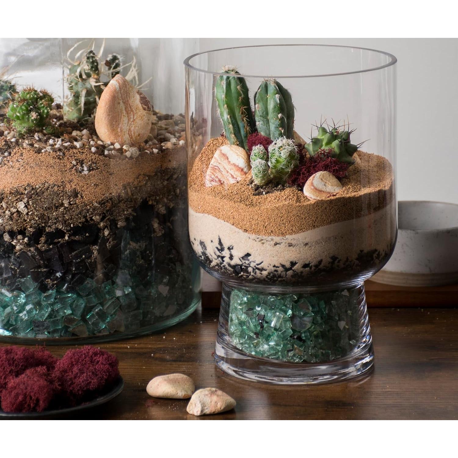 Kit de Terrario del Desierto DIY SuperMoss - 113.4 g