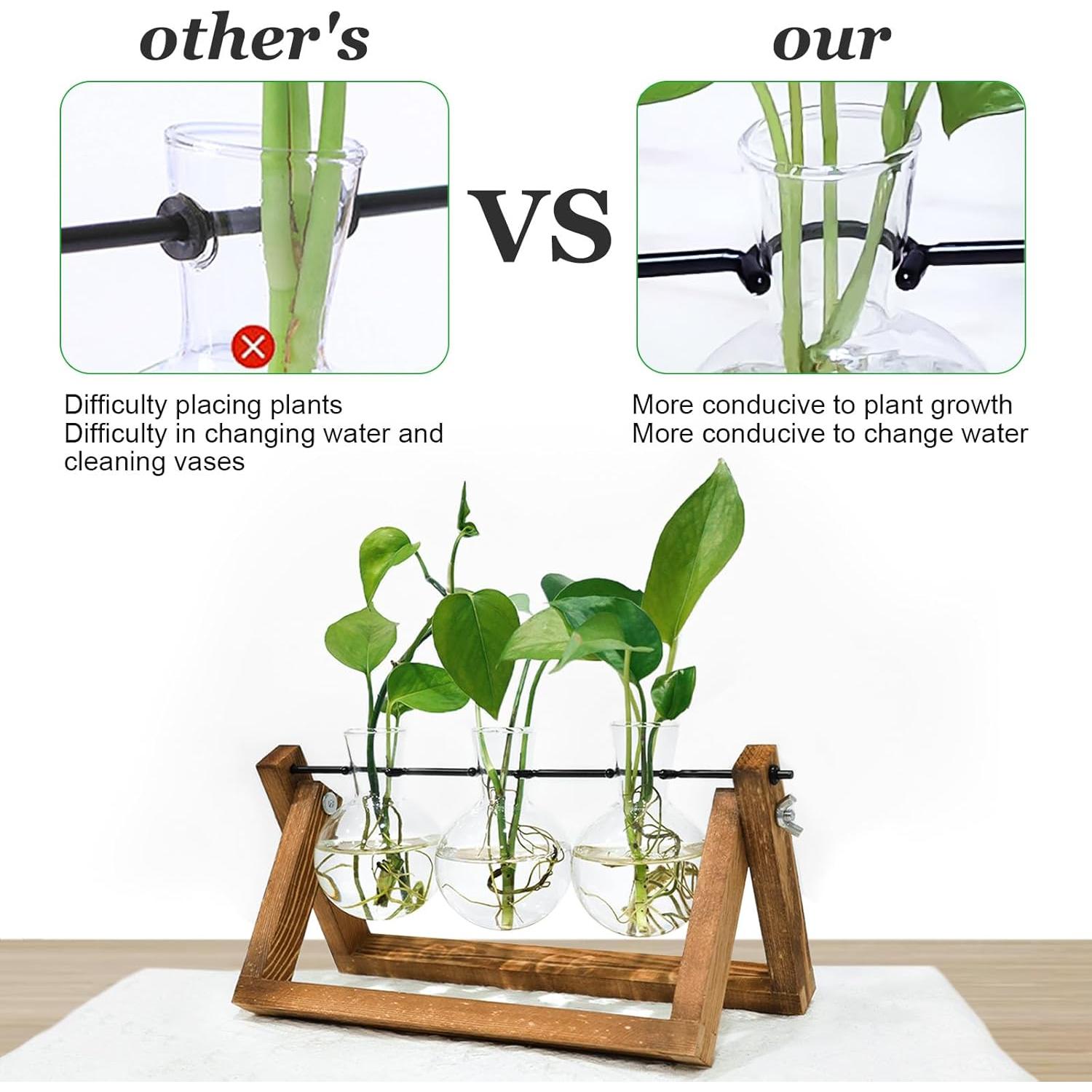 Estación de Propagación de Plantas Renmxj con 3 Jarrones de Vidrio