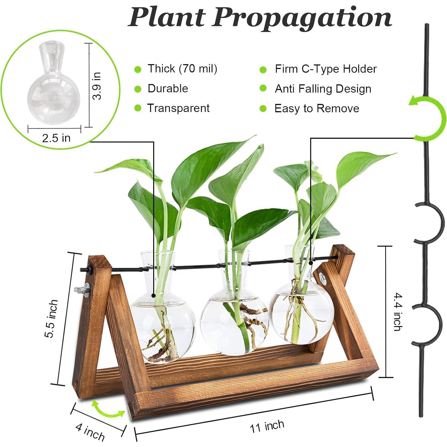 Estación de Propagación de Plantas Renmxj con 3 Jarrones de Vidrio