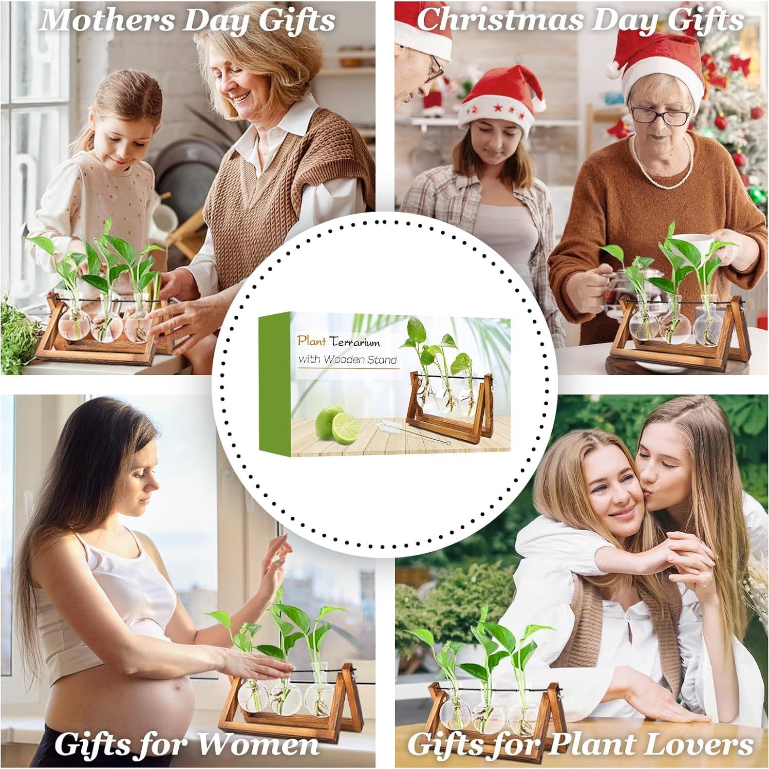 Estación de Propagación de Plantas Renmxj con 3 Jarrones de Vidrio