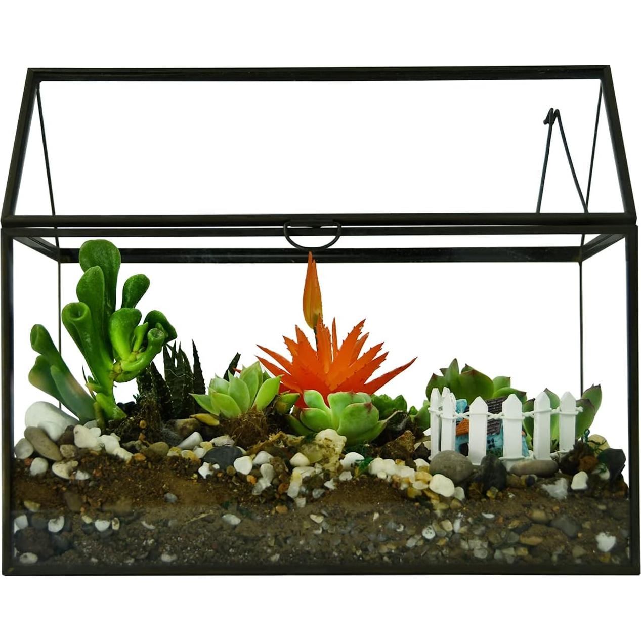 Terrario de Vidrio Grande YIMORENCE V para Suculentas 21.95x16cm