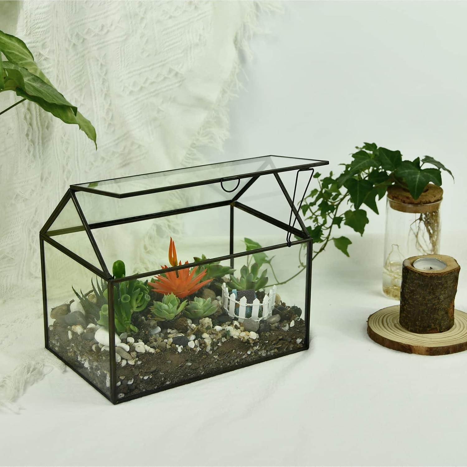 Terrario de Vidrio Grande YIMORENCE V para Suculentas 21.95x16cm