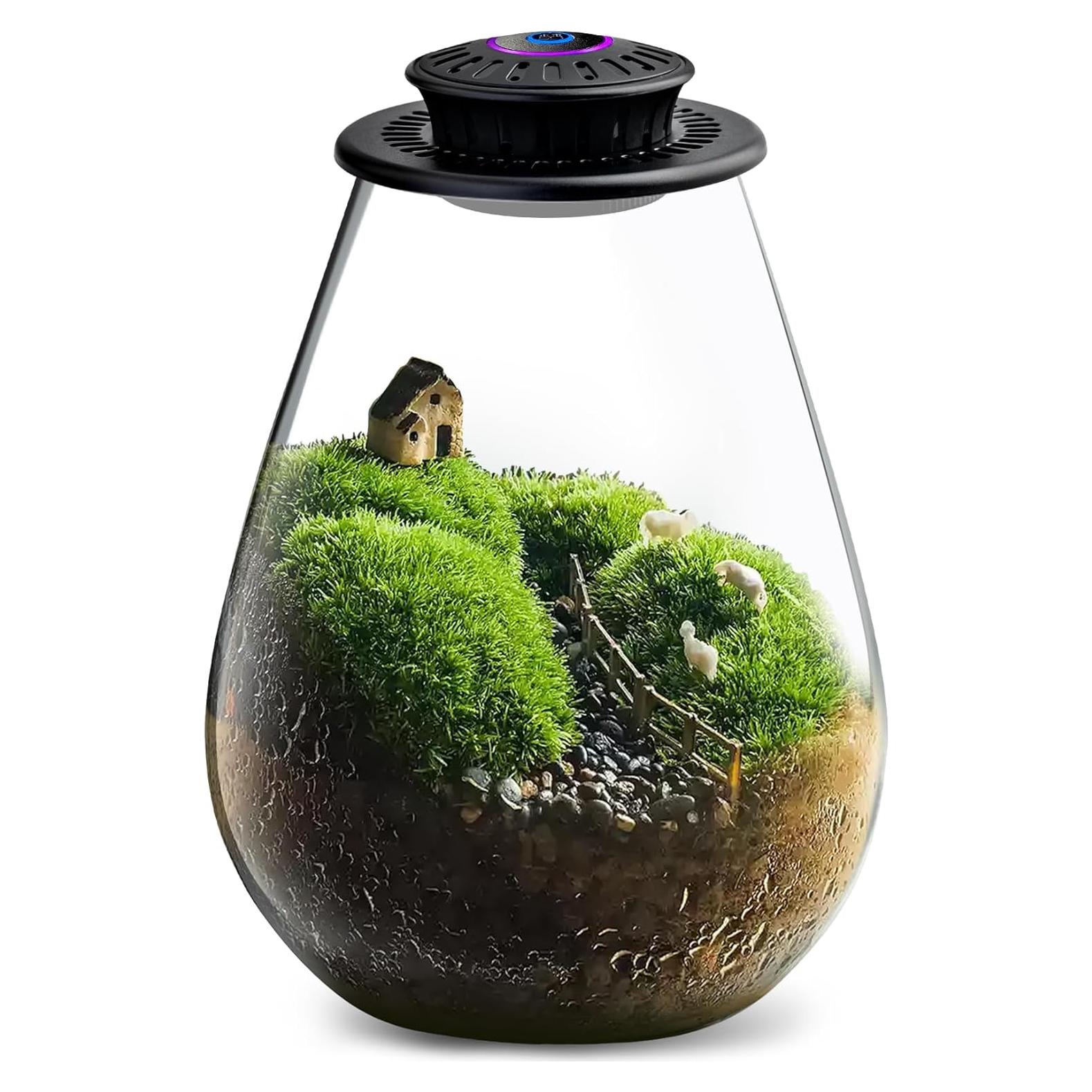 Terrario de Vidrio Xyingshine con Luz LED 19.81 cm para Plantas