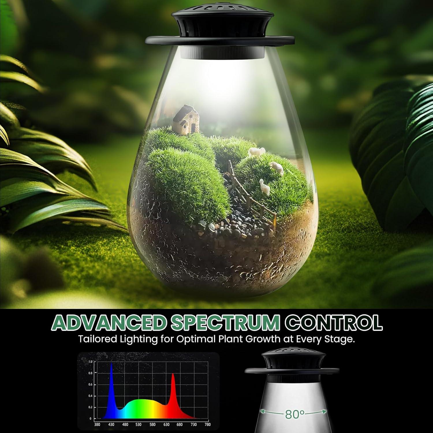 Terrario de Vidrio Xyingshine con Luz LED 19.81 cm para Plantas