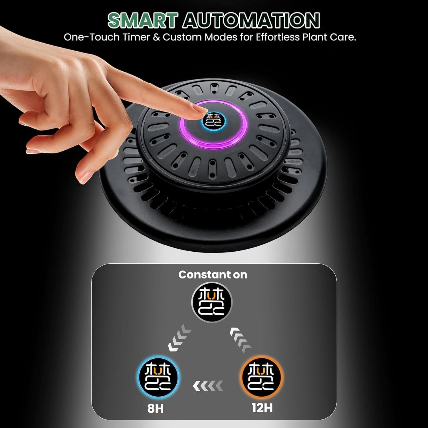 Terrario de Vidrio Xyingshine con Luz LED 19.81 cm para Plantas