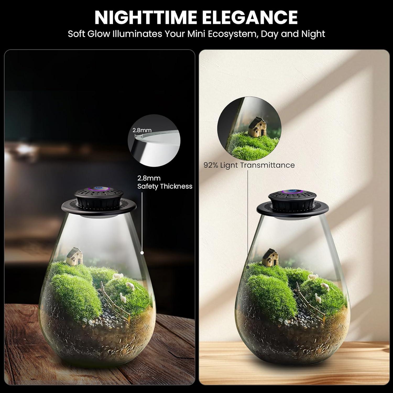 Terrario de Vidrio Xyingshine con Luz LED 19.81 cm para Plantas