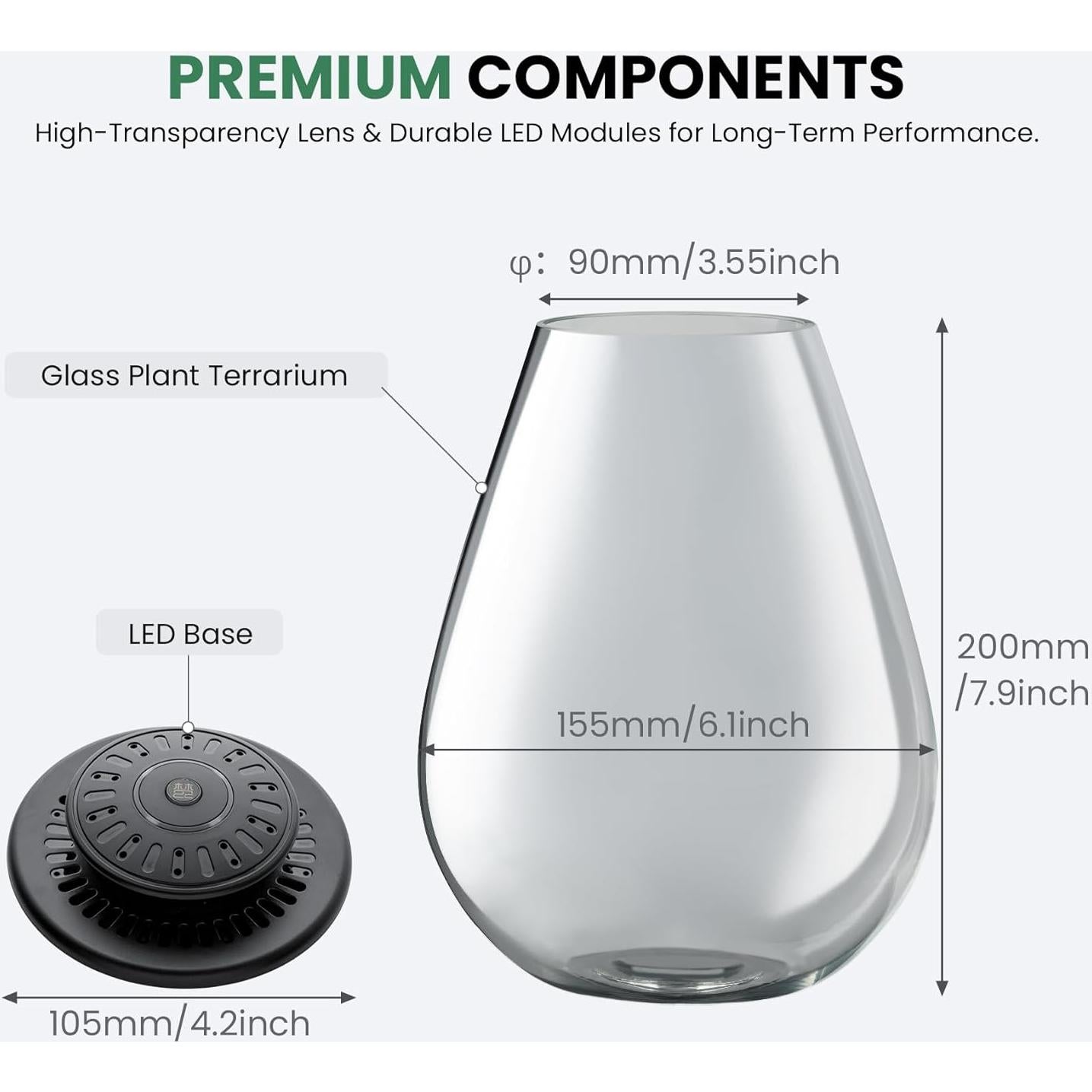 Terrario de Vidrio Xyingshine con Luz LED 19.81 cm para Plantas