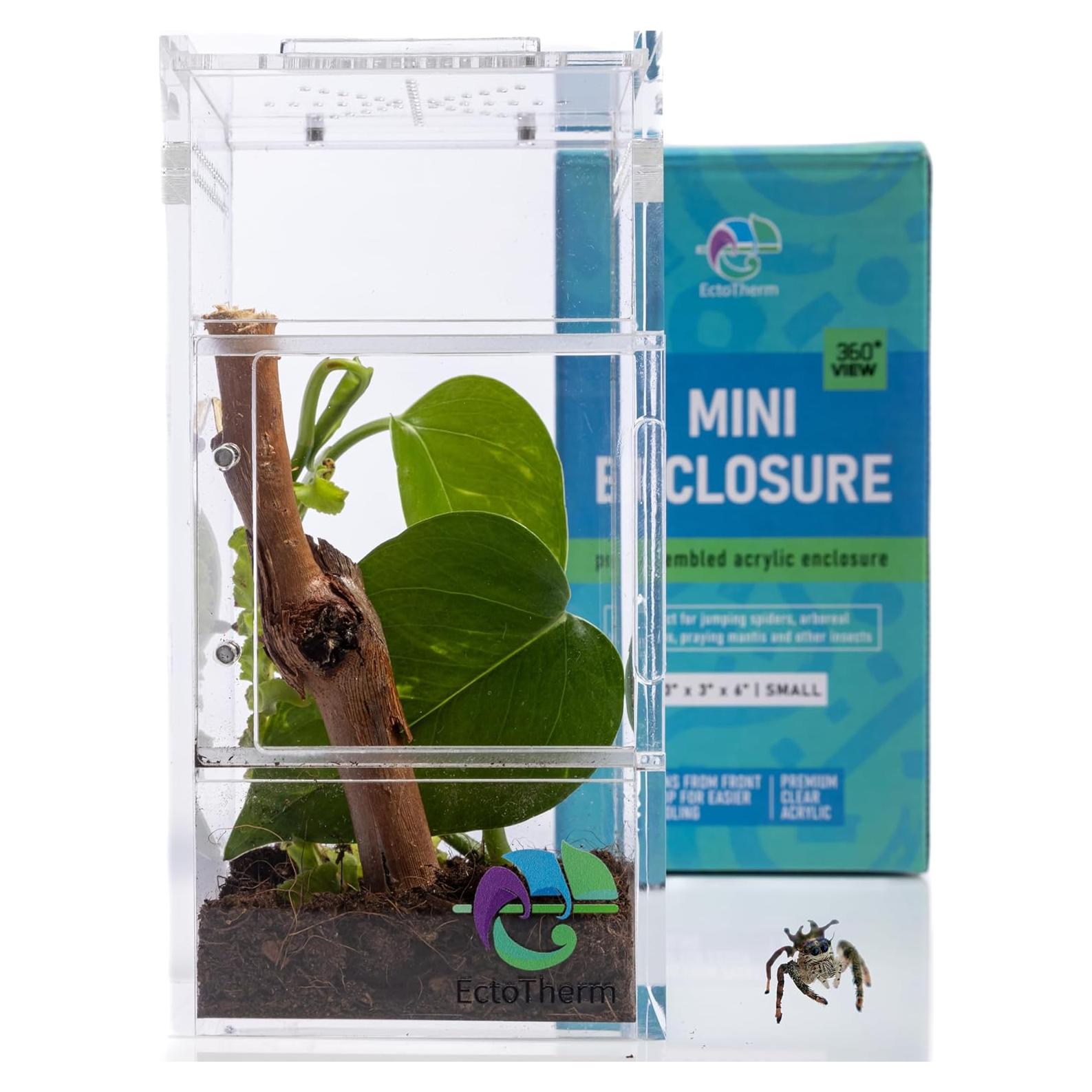 Recinto para Araña Saltadora EctoTherm 7.6x7.6x15.2cm
