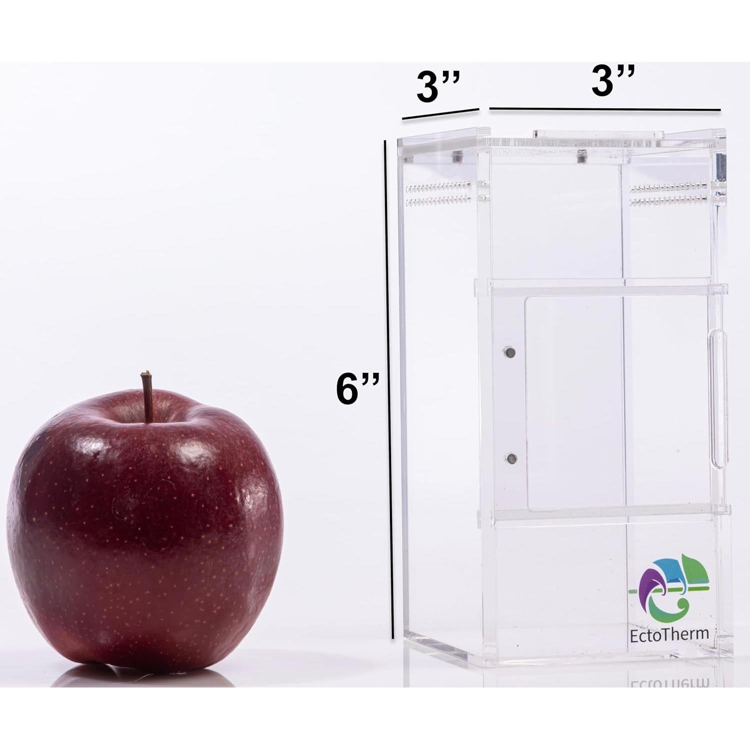 Recinto para Araña Saltadora EctoTherm 7.6x7.6x15.2cm