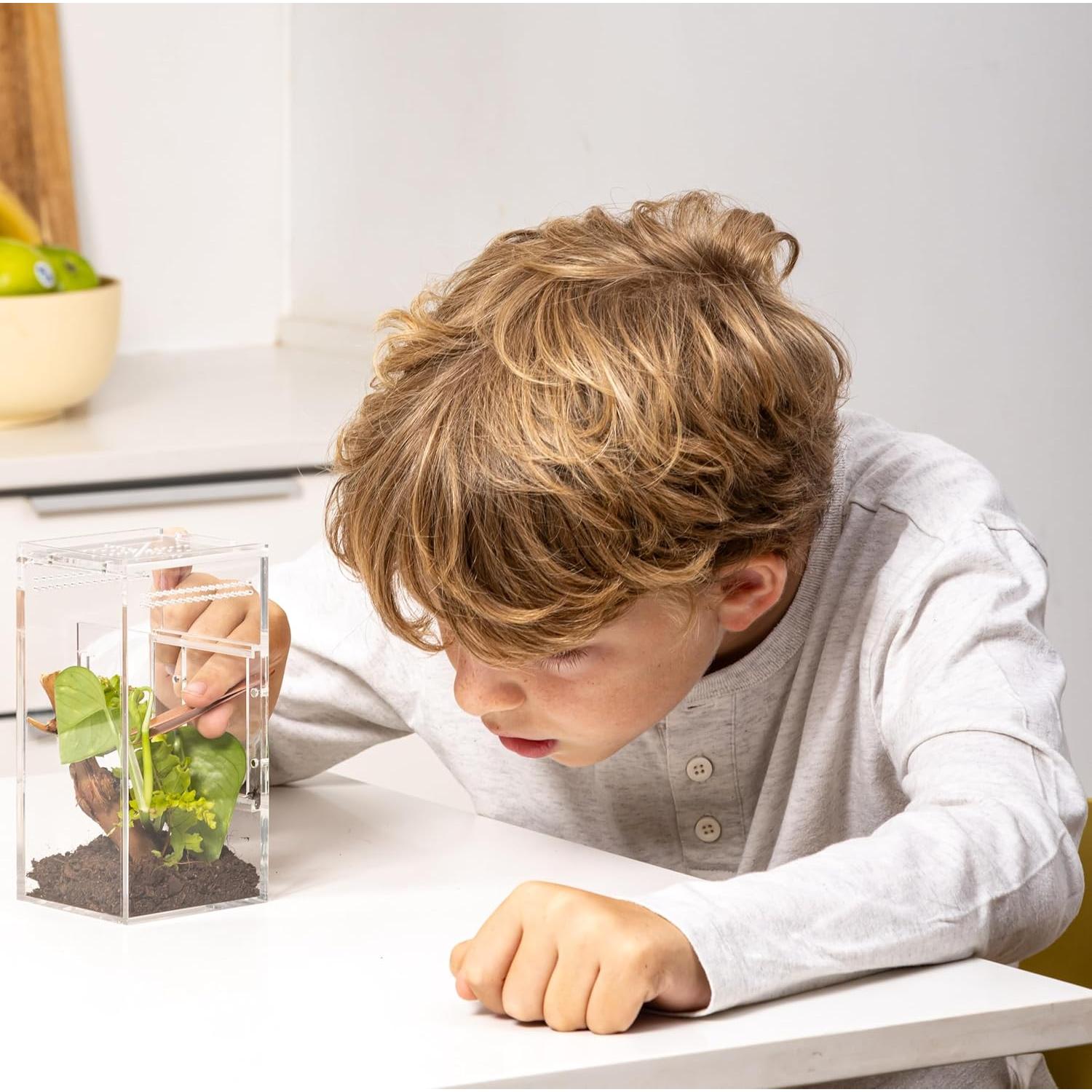 Recinto para Araña Saltadora EctoTherm 7.6x7.6x15.2cm