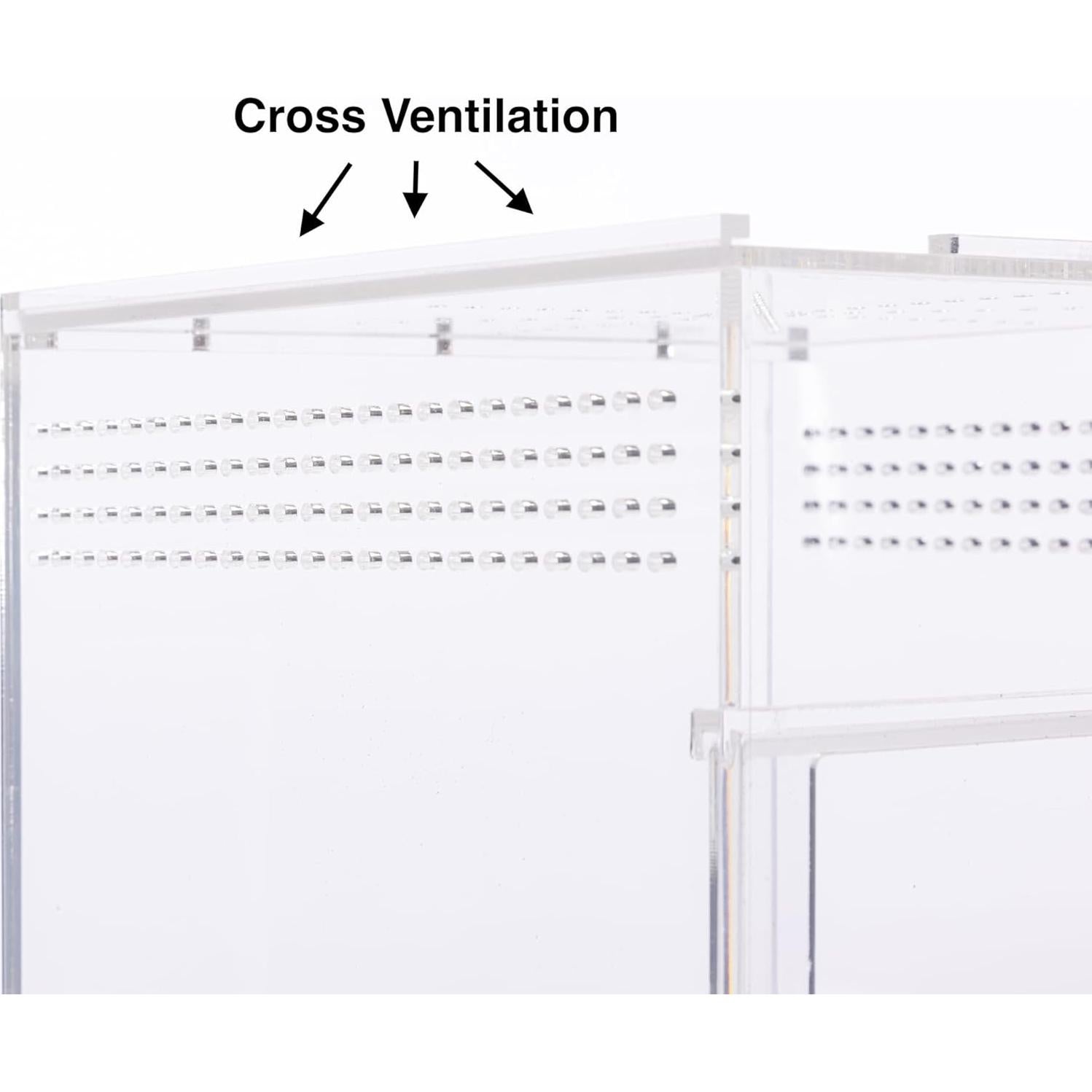 Recinto para Araña Saltadora EctoTherm 7.6x7.6x15.2cm