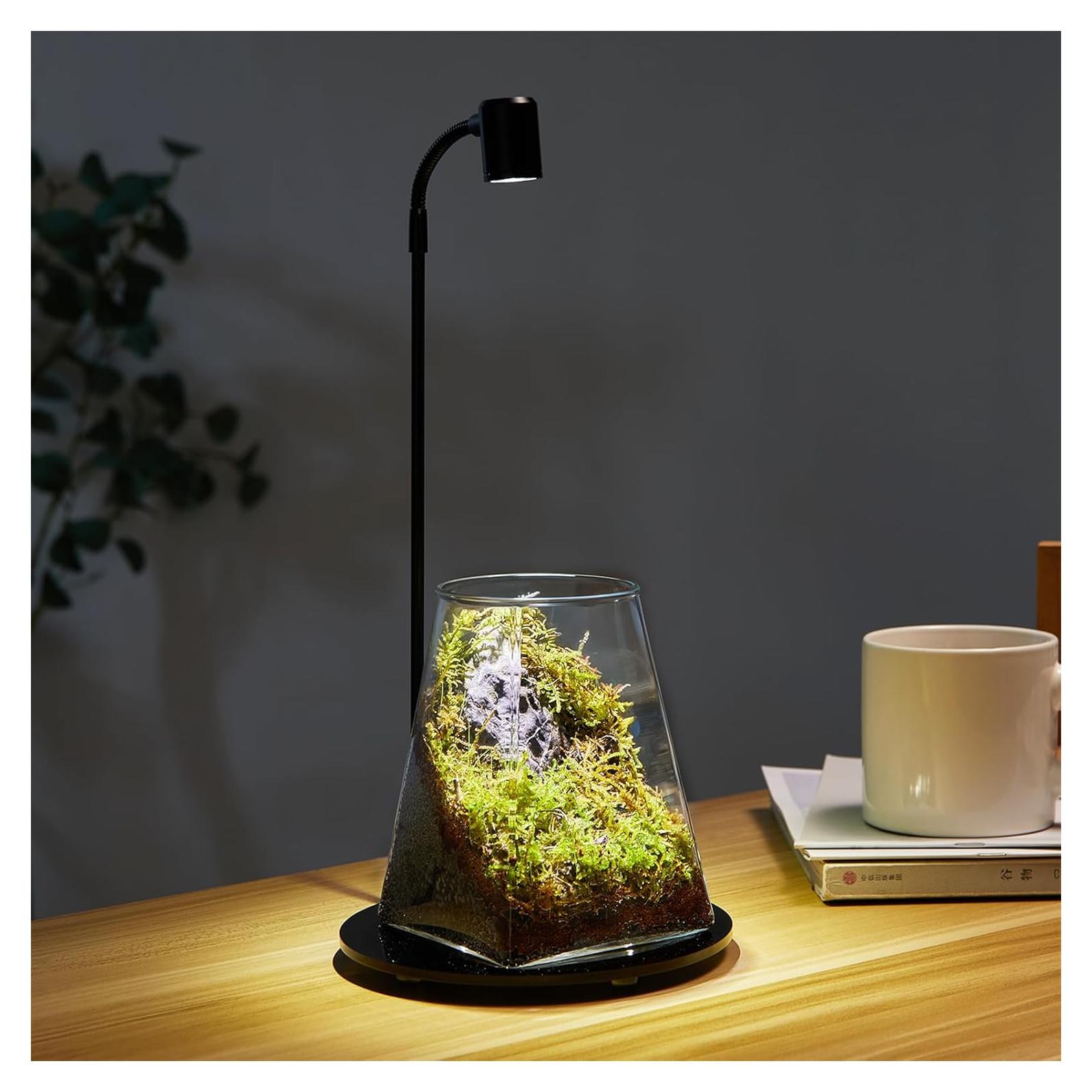 Mini Terrario de Vidrio SARUFO con Luz LED para Suculentas