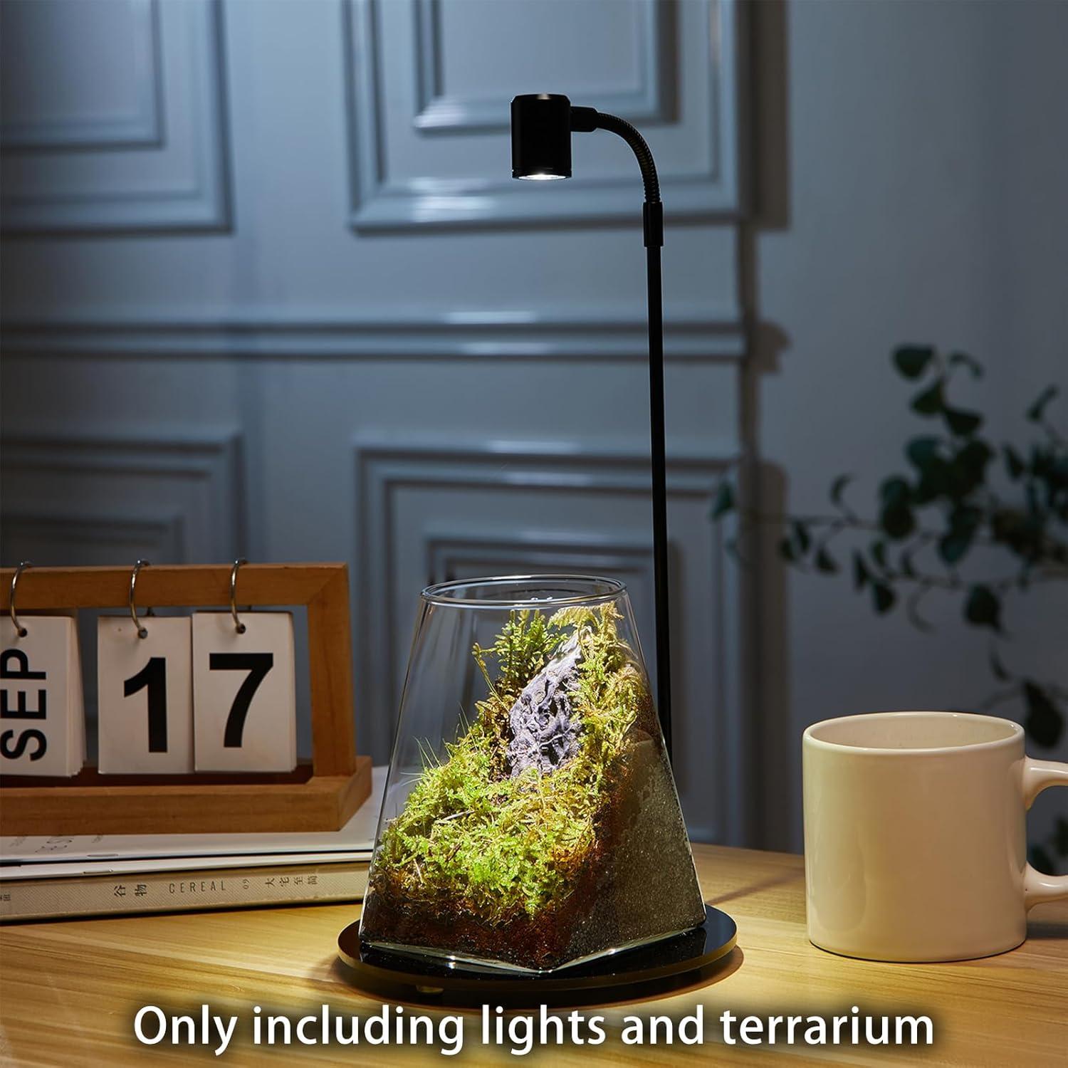 Mini Terrario de Vidrio SARUFO con Luz LED para Suculentas