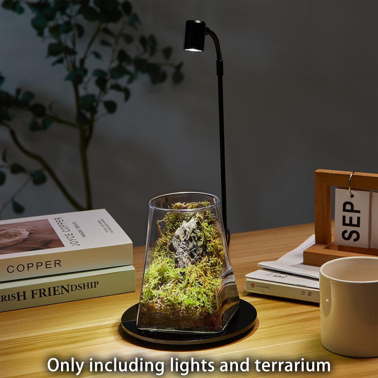 Mini Terrario de Vidrio SARUFO con Luz LED para Suculentas