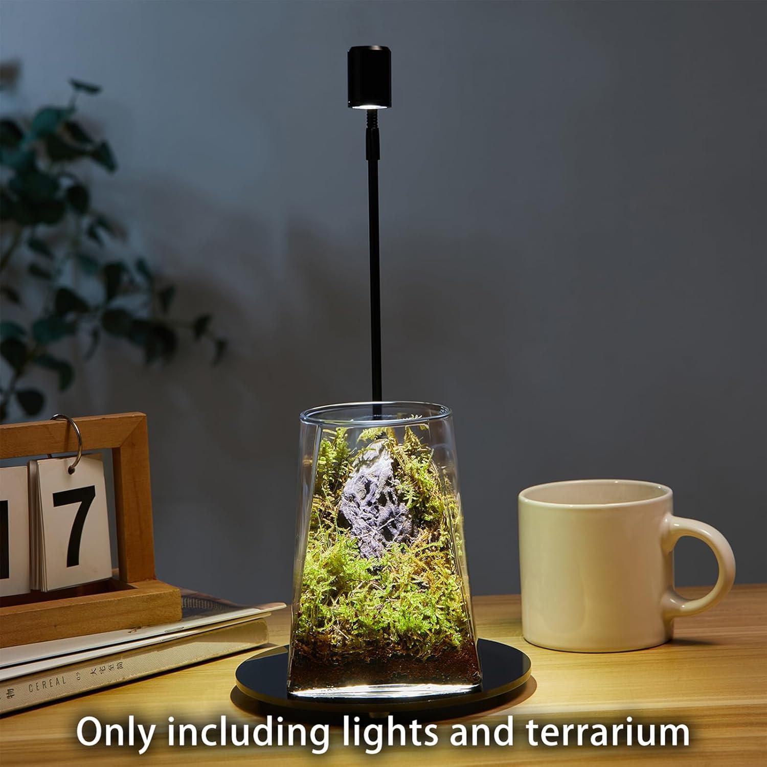 Mini Terrario de Vidrio SARUFO con Luz LED para Suculentas