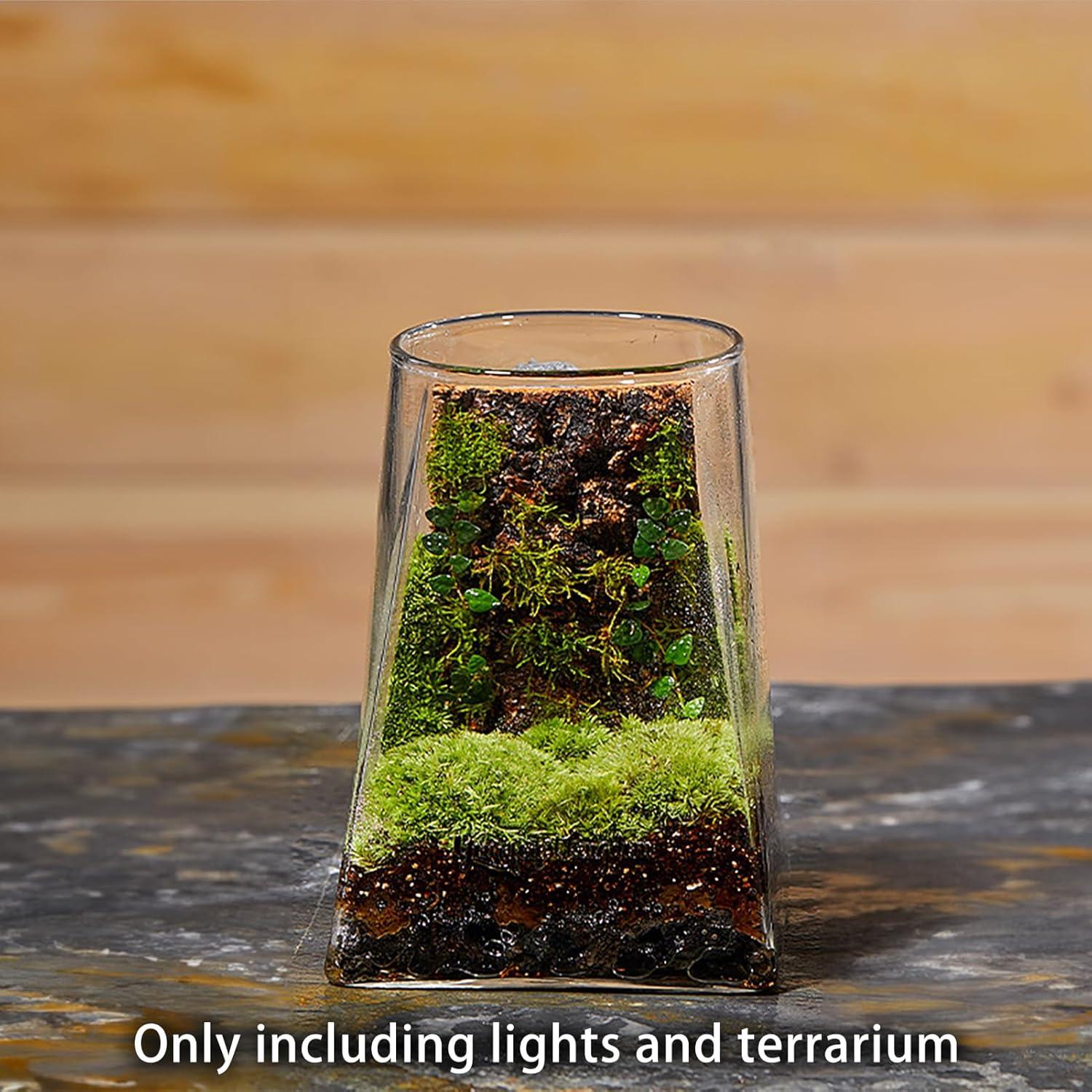 Mini Terrario de Vidrio SARUFO con Luz LED para Suculentas