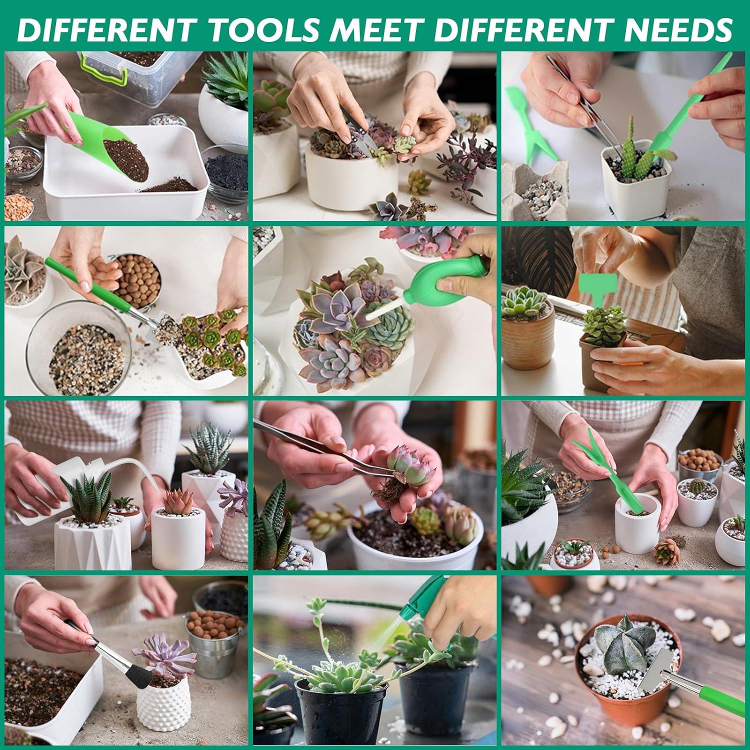 Juego de Herramientas de Jardinería Genérico 57 Piezas para Suculentas
