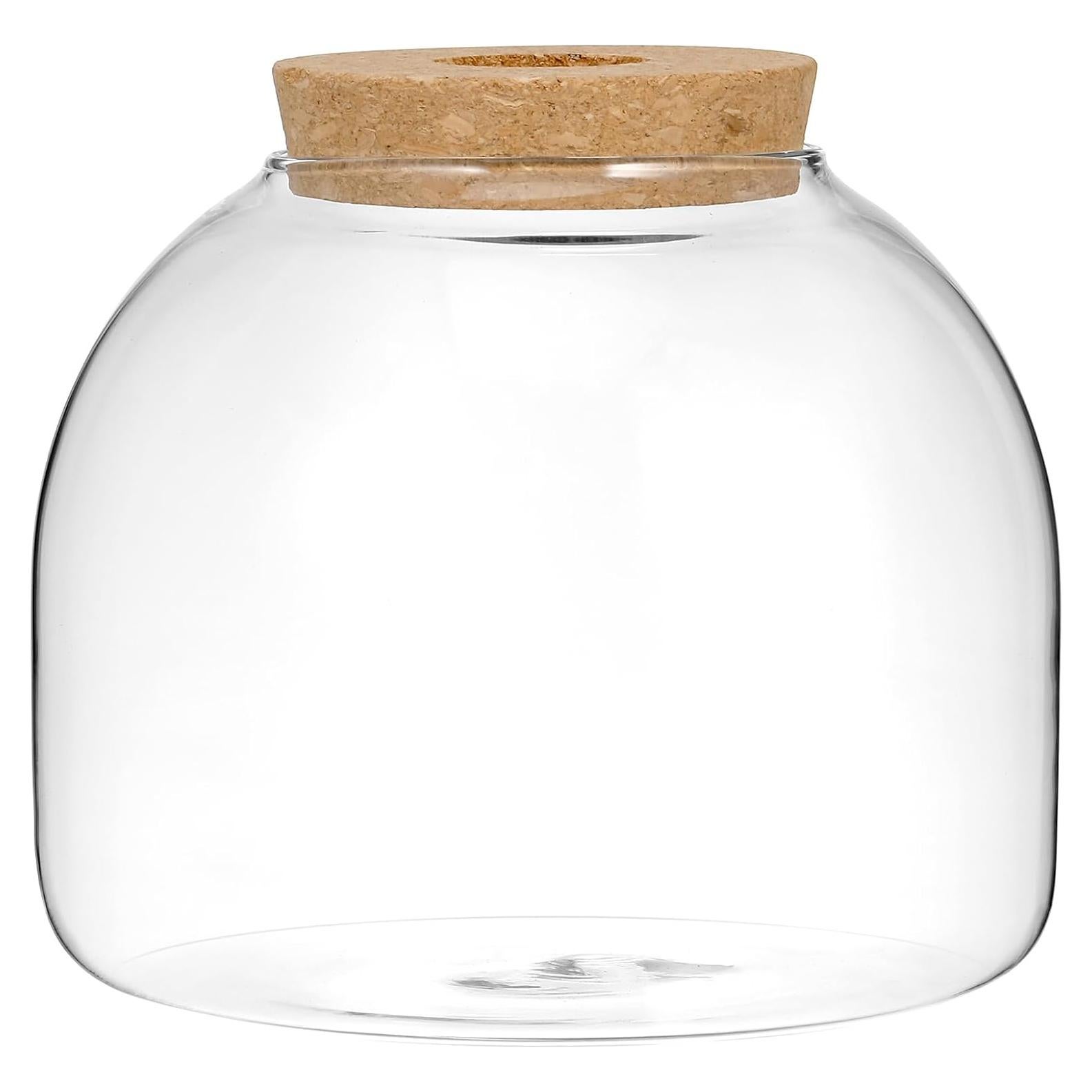 Tarro de Terrario de Vidrio Yardwe 15x15x13 cm para Plantas