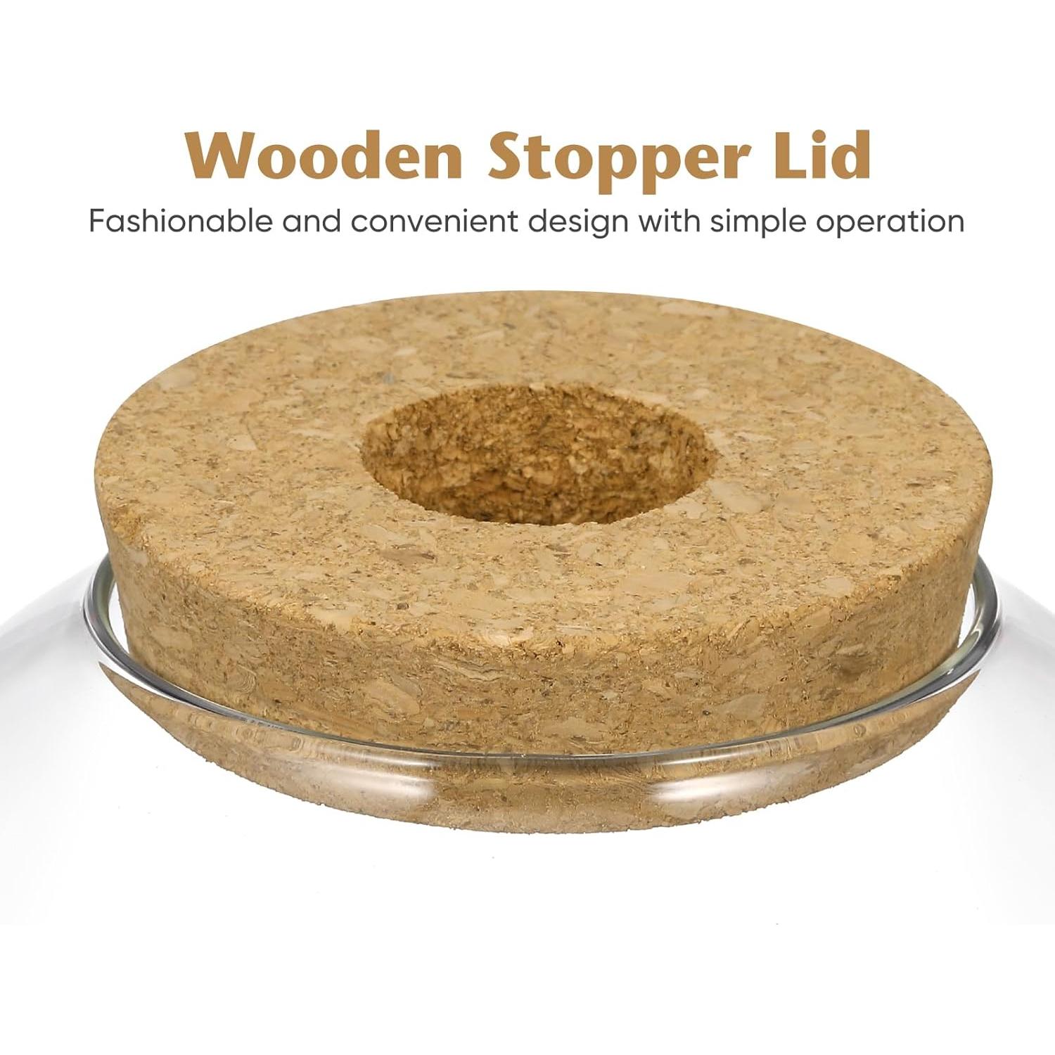 Tarro de Terrario de Vidrio Yardwe 15x15x13 cm para Plantas