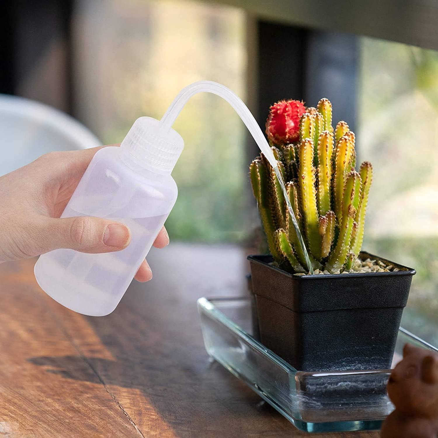 Conjunto de Herramientas de Jardín Mini LLL 13 Pcs para Suculentas