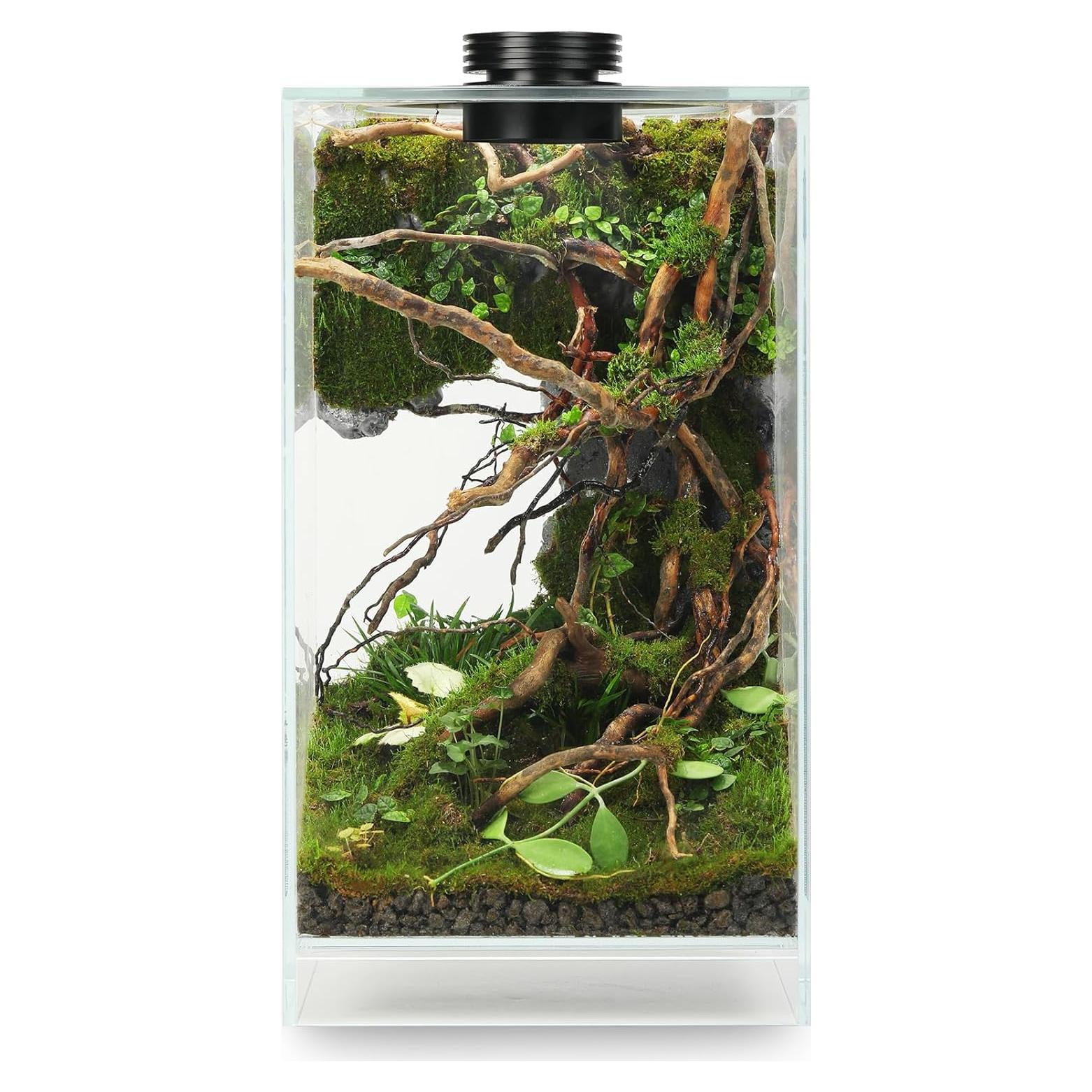 Terrario de Vidrio con Luz de Crecimiento 10W para Suculentas